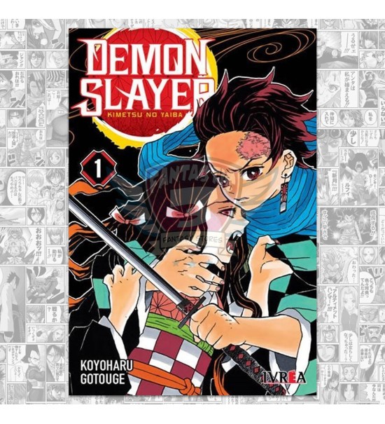 Demon Slayer Vol. 01
